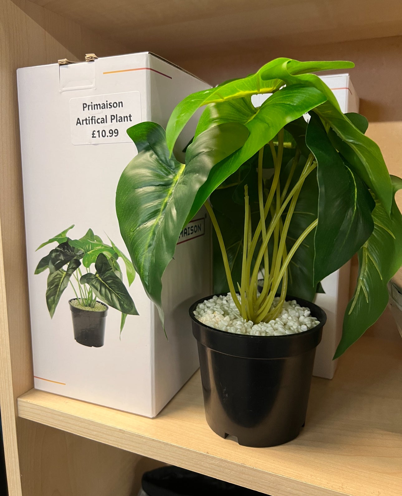 Primaison Small Artificial Plant